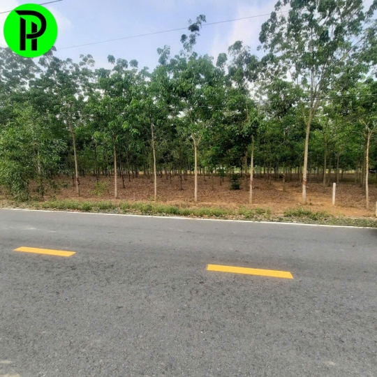  Định Thành 2.843m² view núi