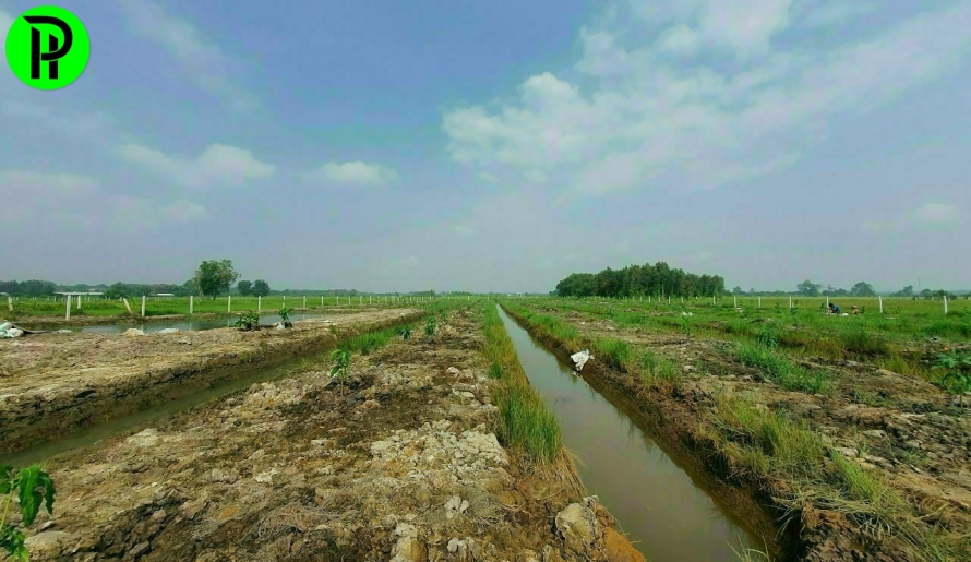 Đất vườn phú an bến cát bình dương