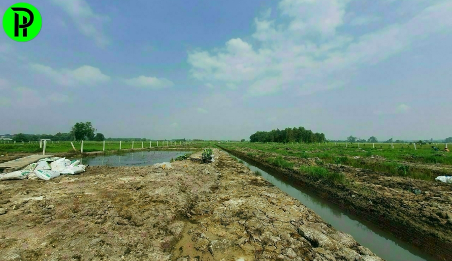 Đất vườn phú an bến cát bình dương