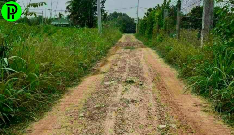 Đất vườn phú an bến cát bình dương