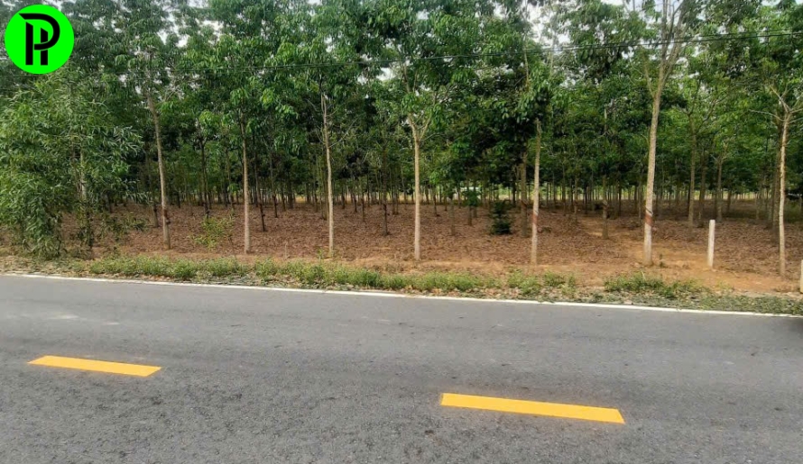  Định Thành 2.843m² view núi