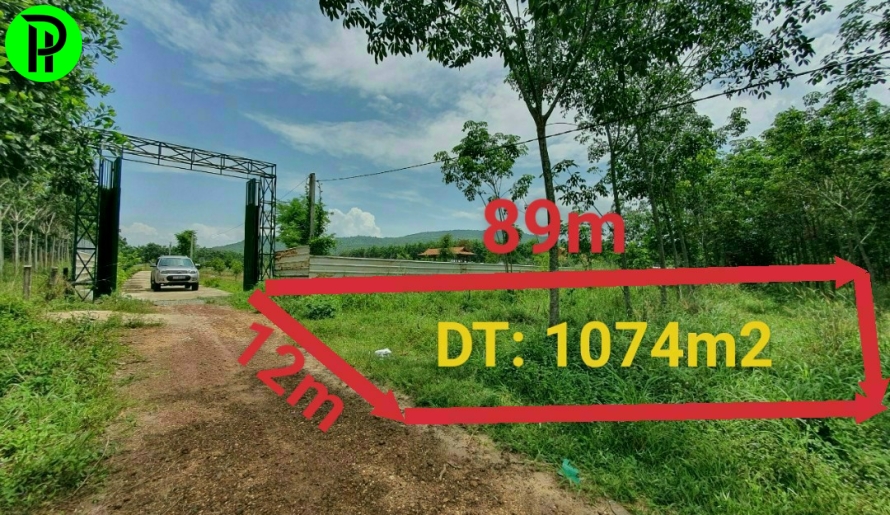 Định Thành ngay cầu số 2 huyện dầu tiếng 