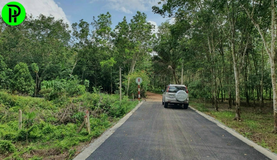 Bán đất Thanh Tuyền , dầu Tiếng 