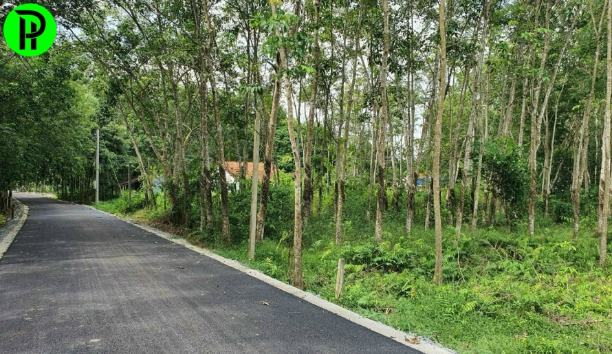 Bán đất Thanh Tuyền , dầu Tiếng 