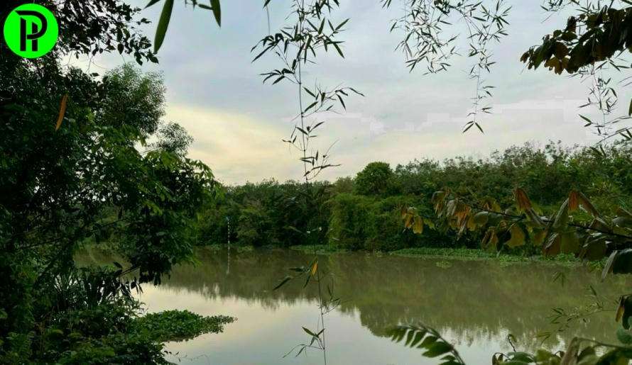 bán 1500m² đất view sông Sài Gòn, xã Định Thành dầu tiếng 1 sẹc đường DH703