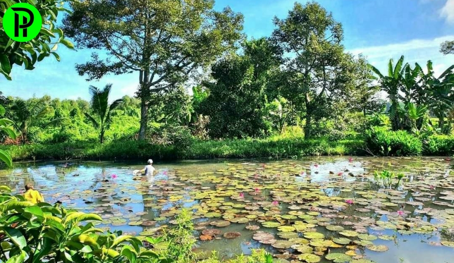 BÁN ĐẤT VƯỜN AO VIEW RẠCH LỚN TÂN AN - THỦ DẦU MỘT 