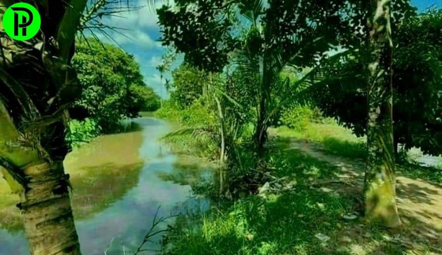 BÁN ĐẤT VƯỜN AO VIEW RẠCH LỚN TÂN AN - THỦ DẦU MỘT 