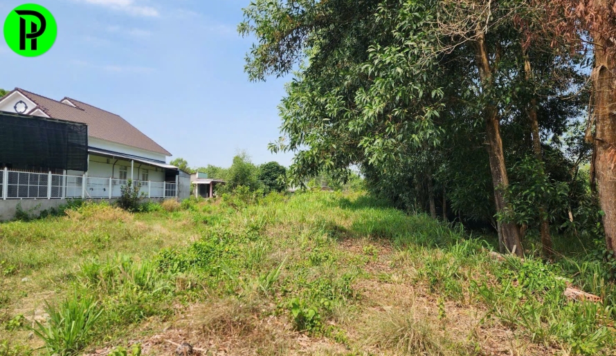  Mặt tiền DT748 xã thanh an, TP.HCM(xã an lập củ)