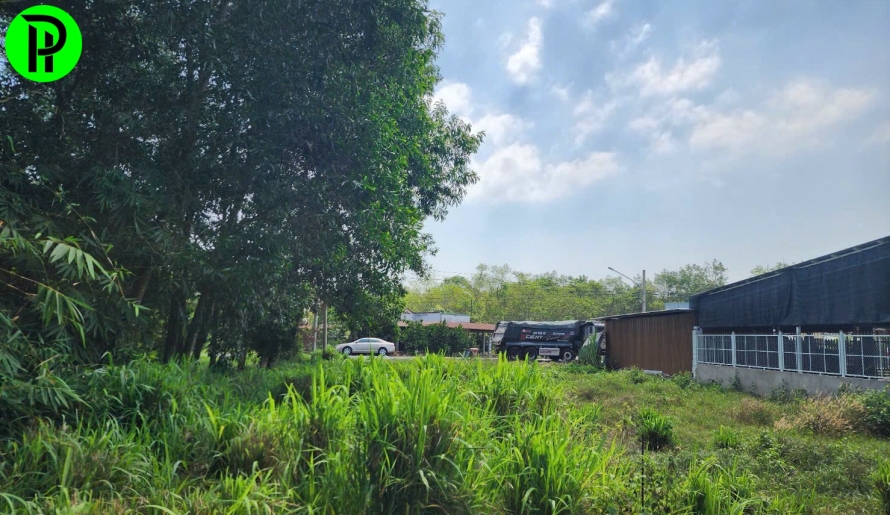  Mặt tiền DT748 xã thanh an, TP.HCM(xã an lập củ)